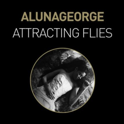 Attracting Flies by AlunaGeorge