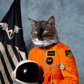 Klaxons surfing the void review