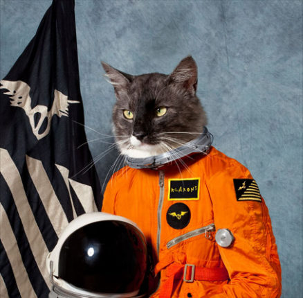Klaxons surfing the void review