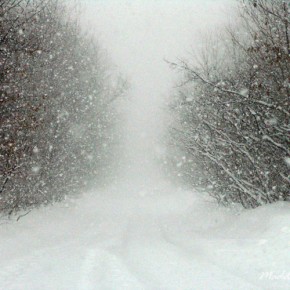 The Darlingtons - 'After All Its Christmas Time'