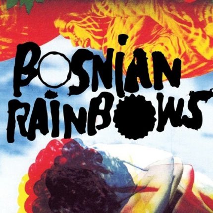 Bosnian Rainbows Torn Maps