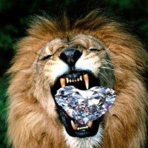 D/R/U/G/S new mixtape