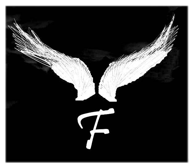 We Are Falcon Second Go