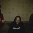 Hive video