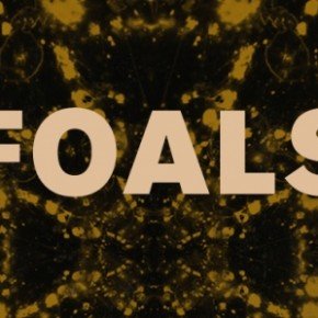 Foals