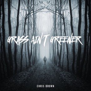chris-brown-grass-aint-greener-3