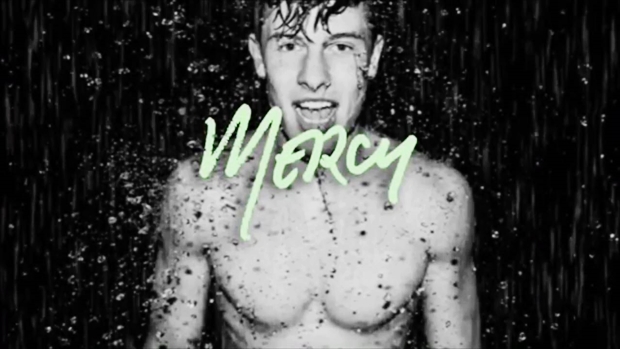 shawn mendes mercy