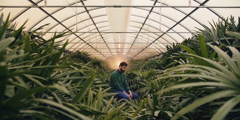 Music Video: Watch “Little Bubbles” by Dirty Projectors