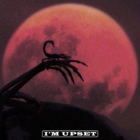drake-im-upset